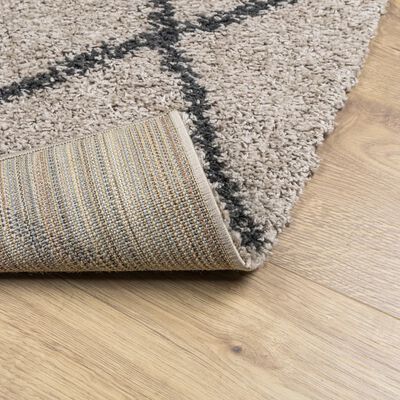 vidaXL Shaggy koberec PAMPLONA, vysoký vlas, béžová+antracit 80x150 cm
